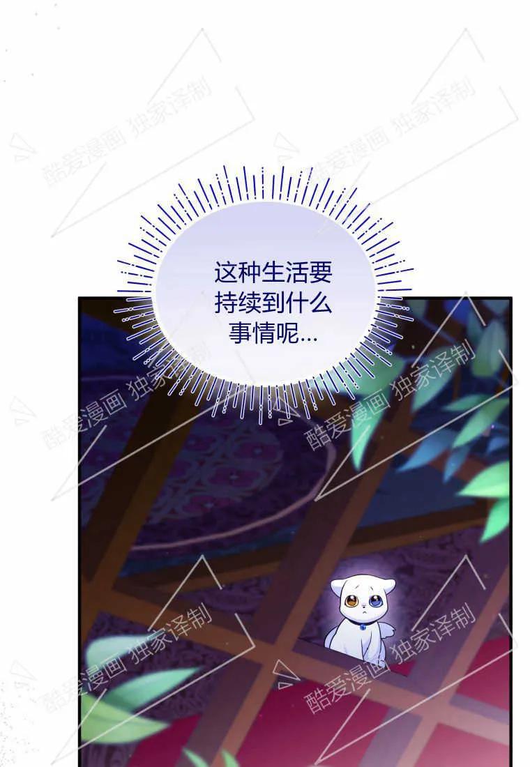成为苏尔坦珍爱的猫咪 第09话 第9页