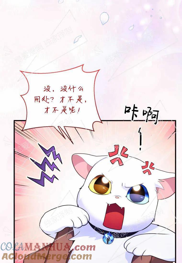 成为苏尔坦珍爱的猫咪 第09话 第16页