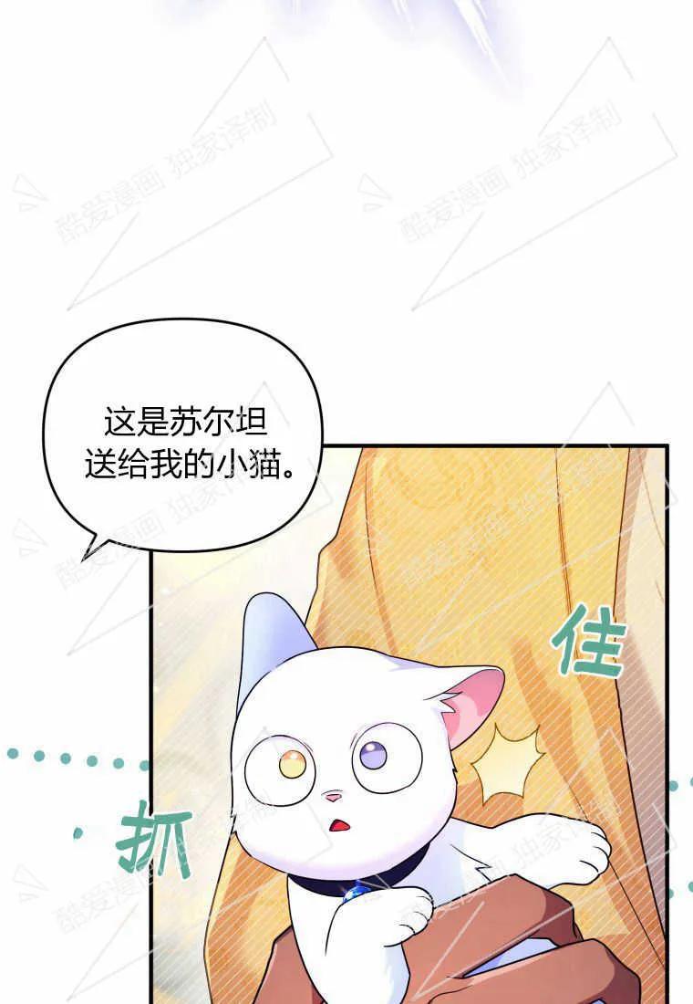 成为苏尔坦珍爱的猫咪 第09话 第63页