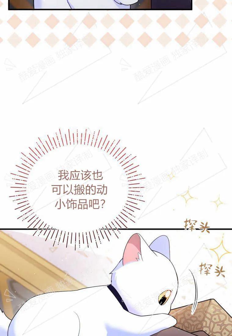 成为苏尔坦珍爱的猫咪 第09话 第35页
