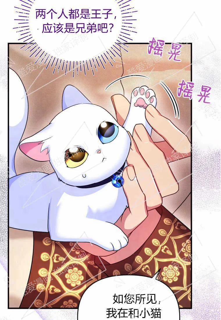 成为苏尔坦珍爱的猫咪 第09话 第53页