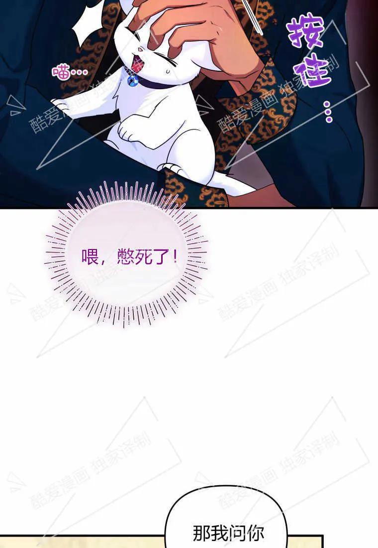 成为苏尔坦珍爱的猫咪 第09话 第71页