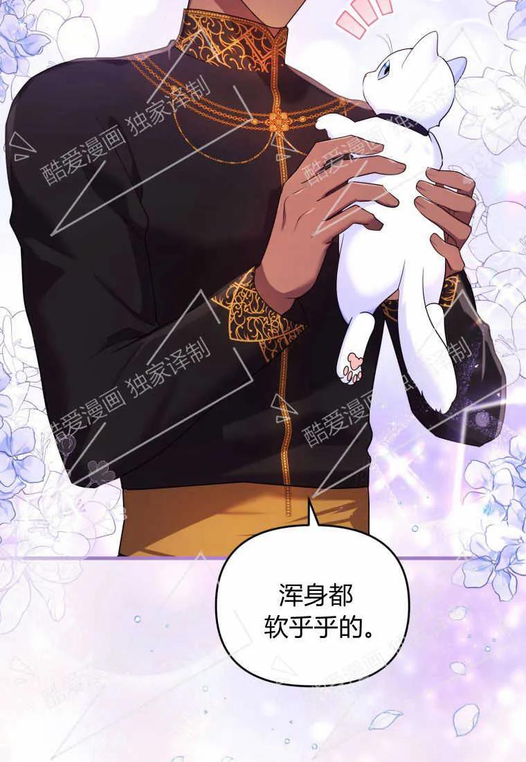成为苏尔坦珍爱的猫咪 第09话 第15页