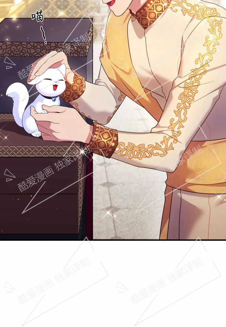 成为苏尔坦珍爱的猫咪 第09话 第42页