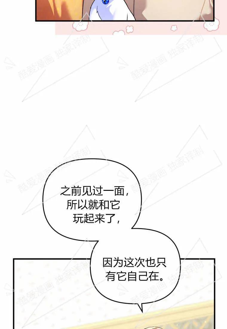成为苏尔坦珍爱的猫咪 第09话 第59页