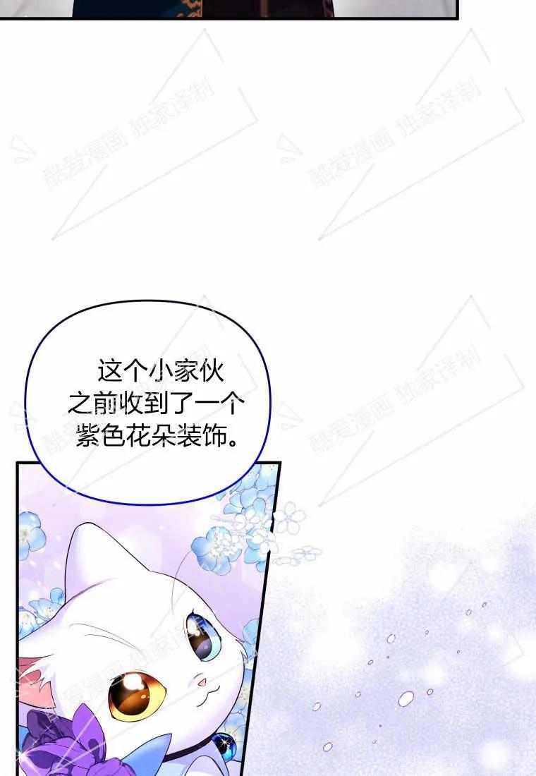 成为苏尔坦珍爱的猫咪 第09话 第73页