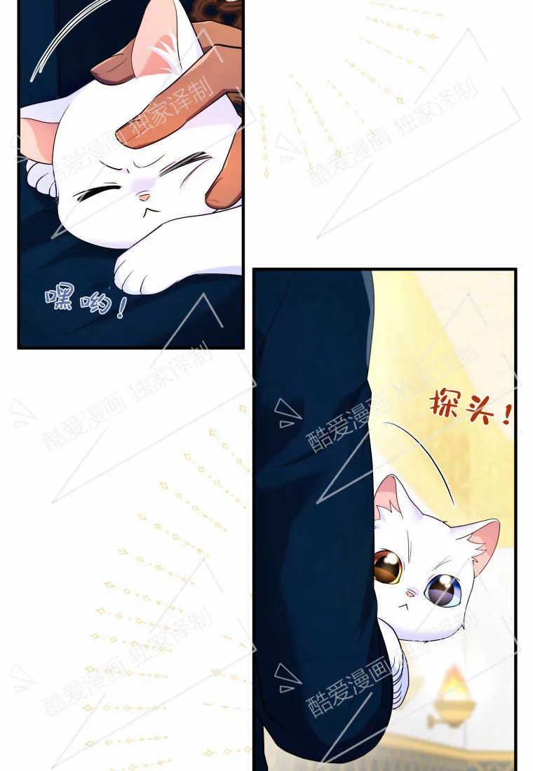 成为苏尔坦珍爱的猫咪 第09话 第93页
