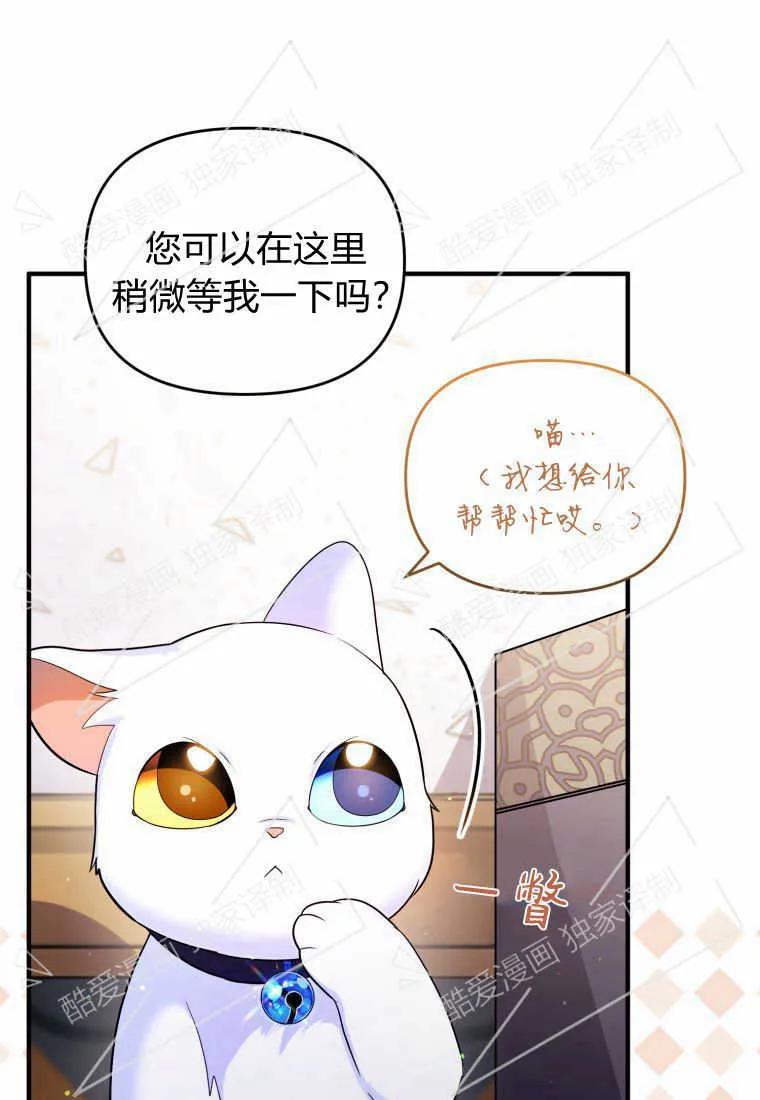 成为苏尔坦珍爱的猫咪 第09话 第34页