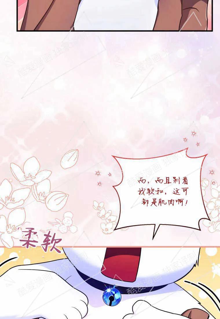 成为苏尔坦珍爱的猫咪 第09话 第17页