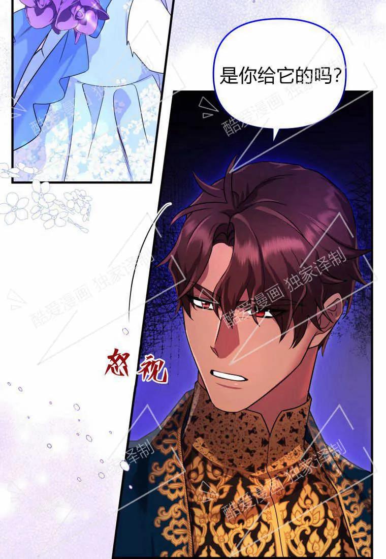 成为苏尔坦珍爱的猫咪 第09话 第74页