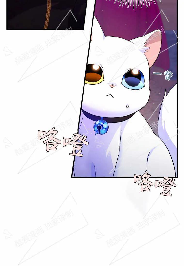 成为苏尔坦珍爱的猫咪 第09话 第1页