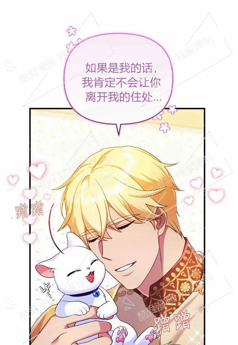 成为苏尔坦珍爱的猫咪 第09话 第43页