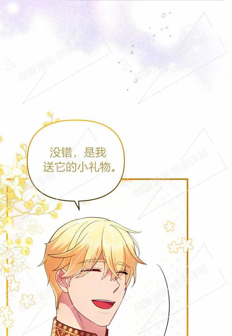 成为苏尔坦珍爱的猫咪 第09话 第75页