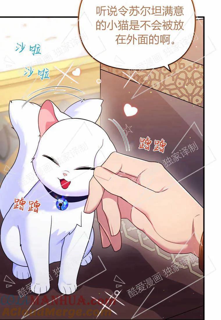 成为苏尔坦珍爱的猫咪 第09话 第40页