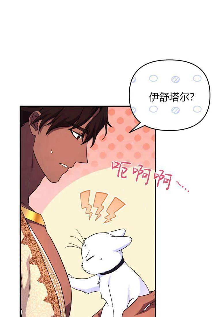 成为苏尔坦珍爱的猫咪 第30话 第95页