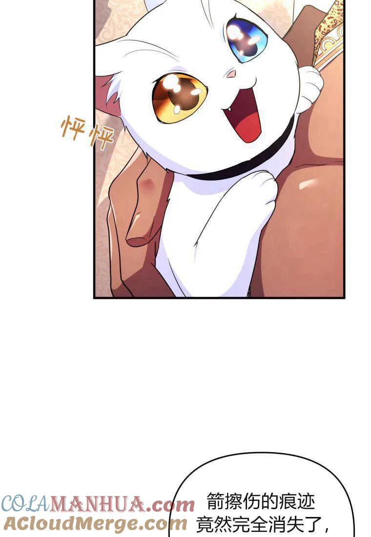 成为苏尔坦珍爱的猫咪 第30话 第108页
