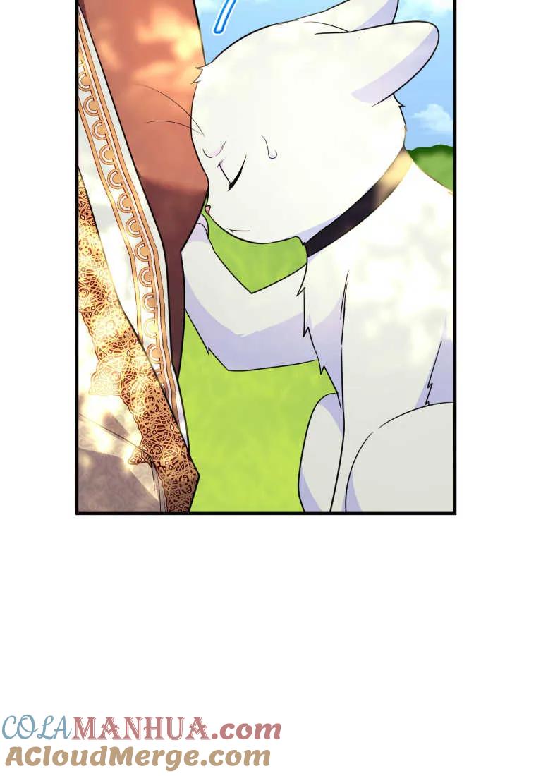成为苏尔坦珍爱的猫咪 第30话 第100页