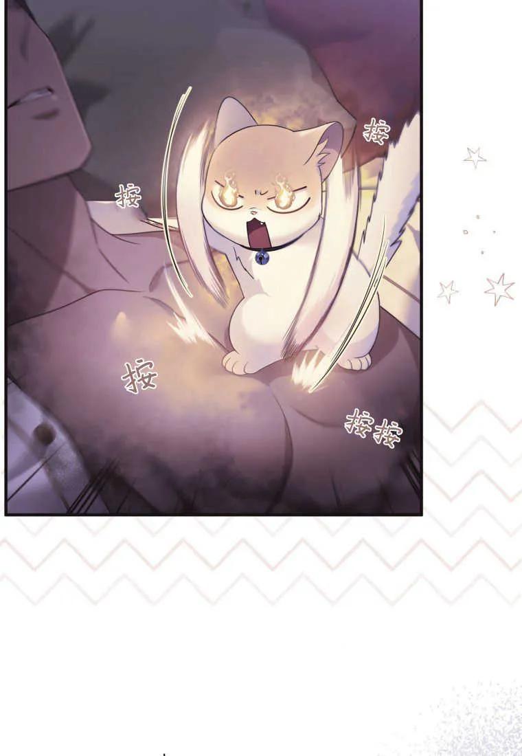 成为苏尔坦珍爱的猫咪 第30话 第86页