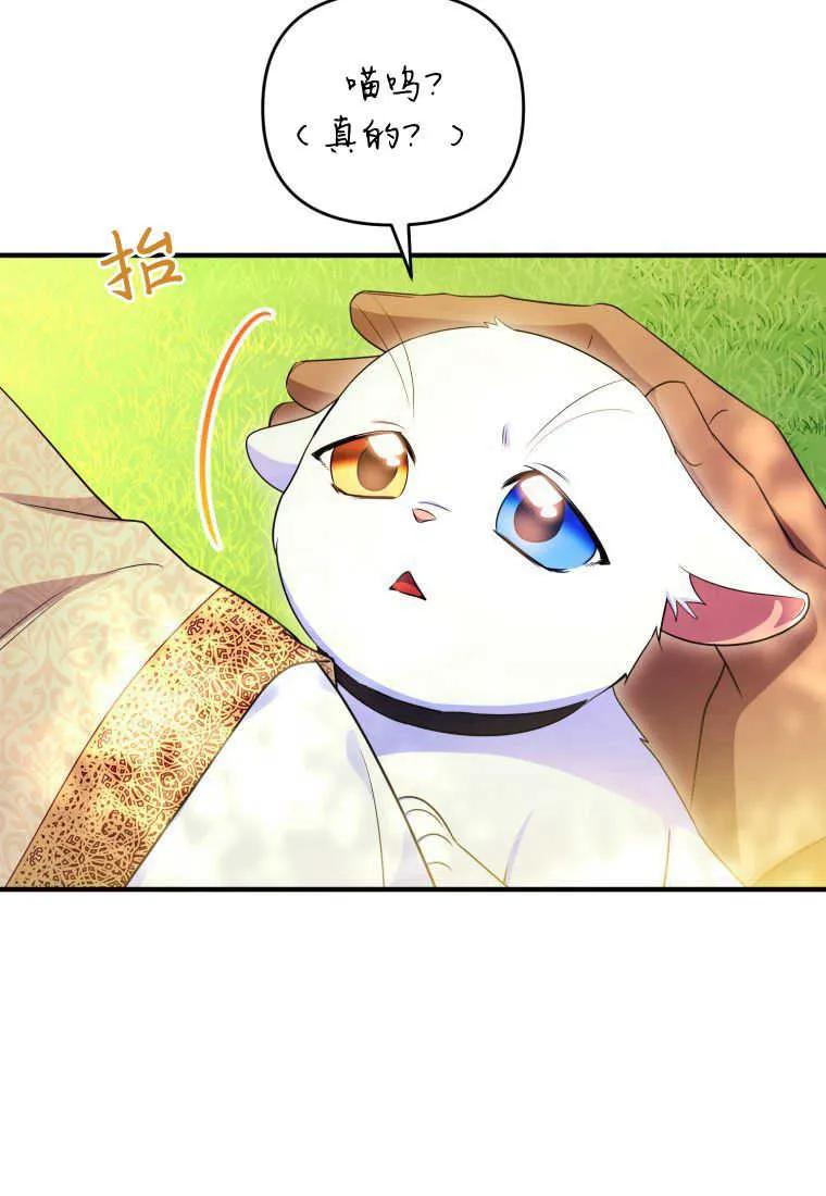 成为苏尔坦珍爱的猫咪 第30话 第75页