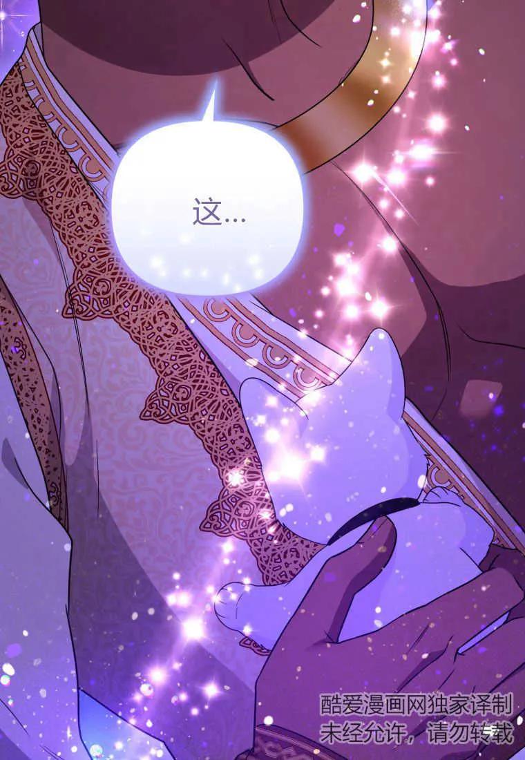 成为苏尔坦珍爱的猫咪 第30话 第103页