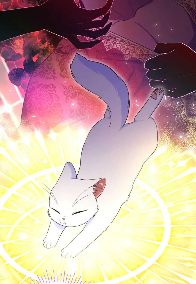 成为苏尔坦珍爱的猫咪 第30话 第83页