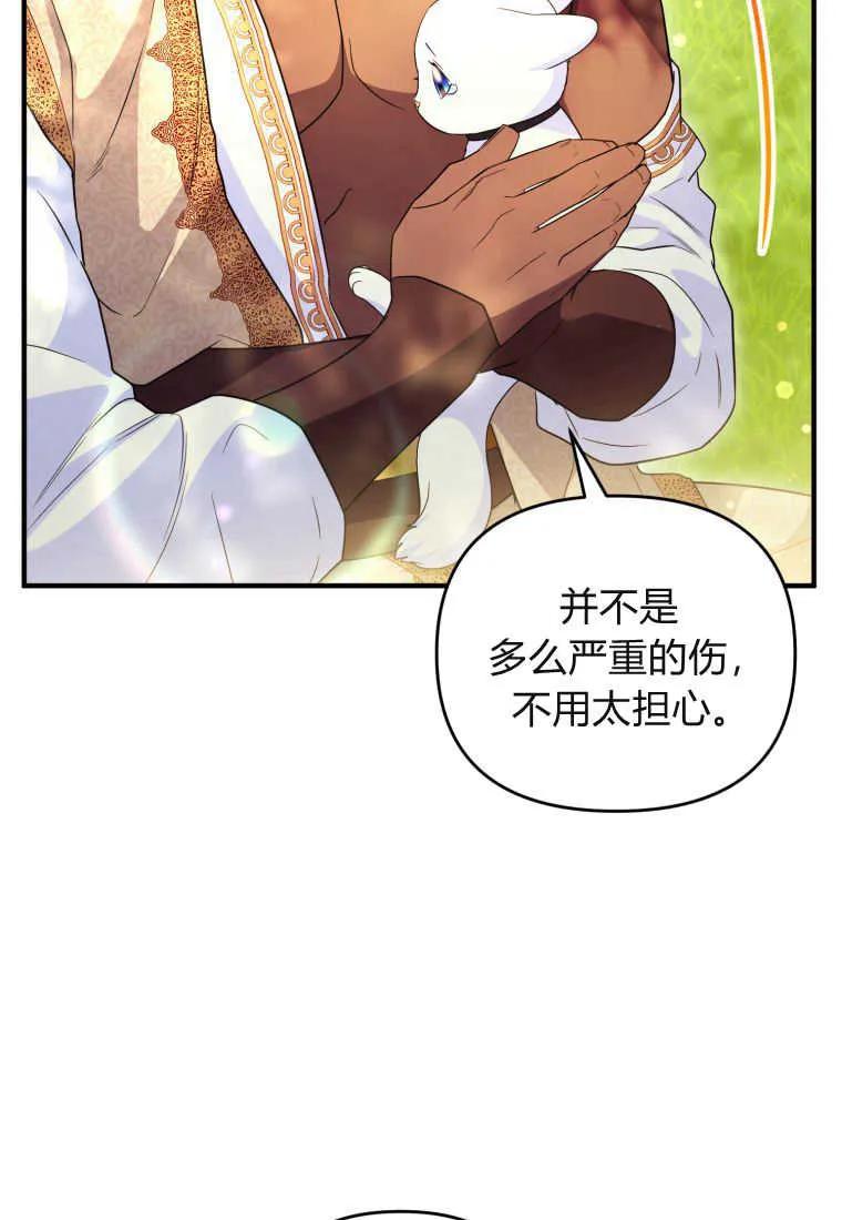 成为苏尔坦珍爱的猫咪 第30话 第74页
