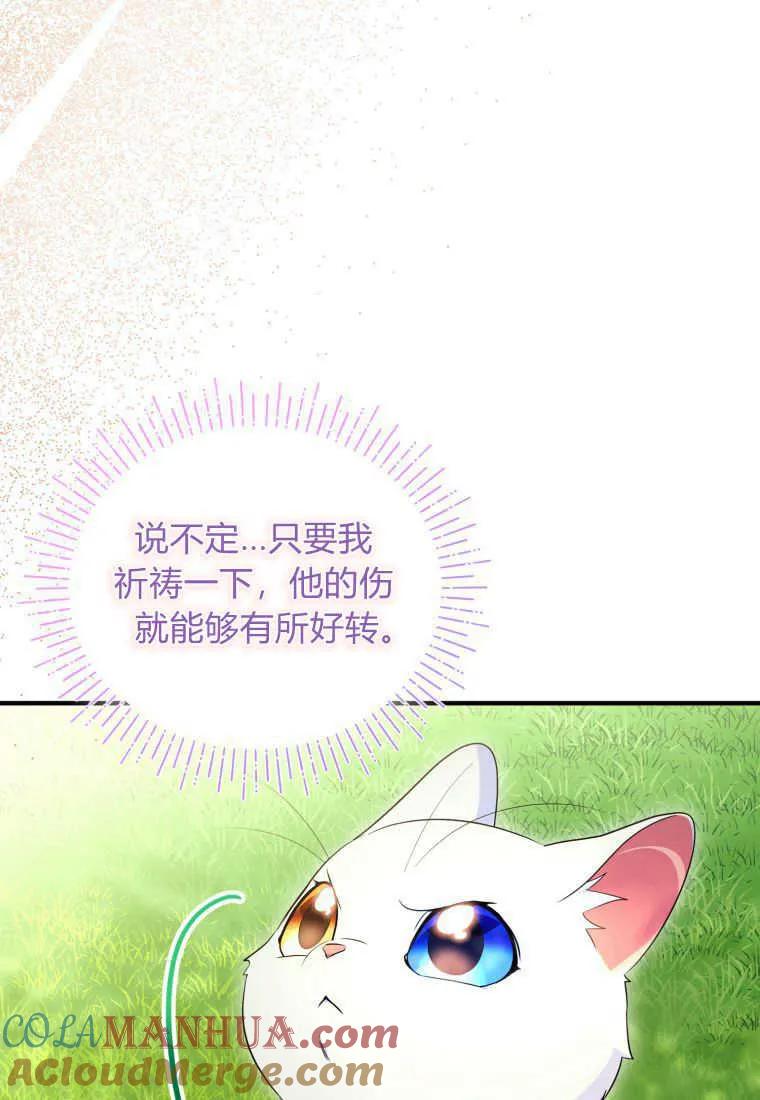 成为苏尔坦珍爱的猫咪 第30话 第92页