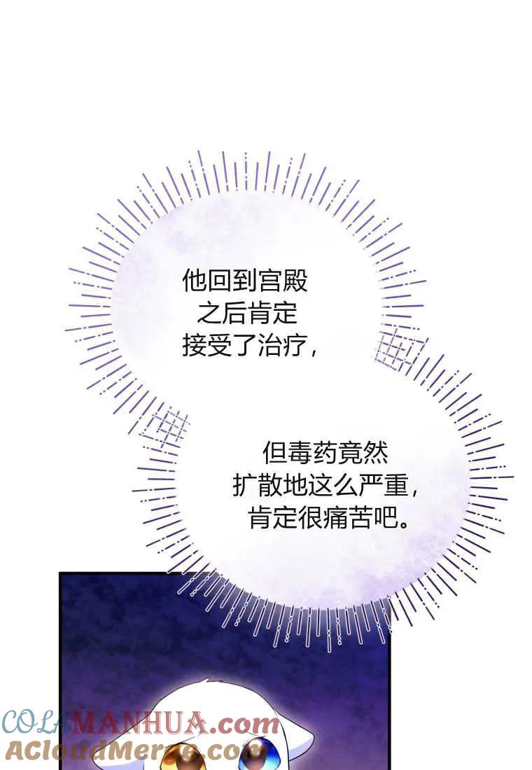 成为苏尔坦珍爱的猫咪 第30话 第64页