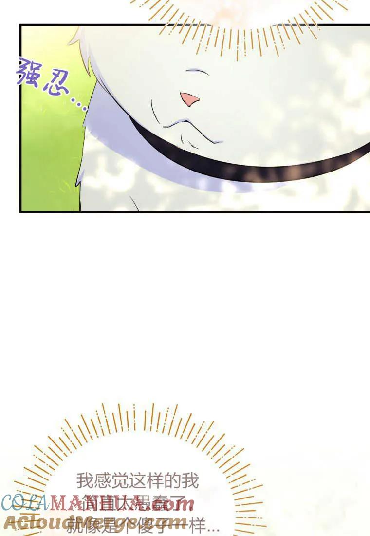 成为苏尔坦珍爱的猫咪 第30话 第68页