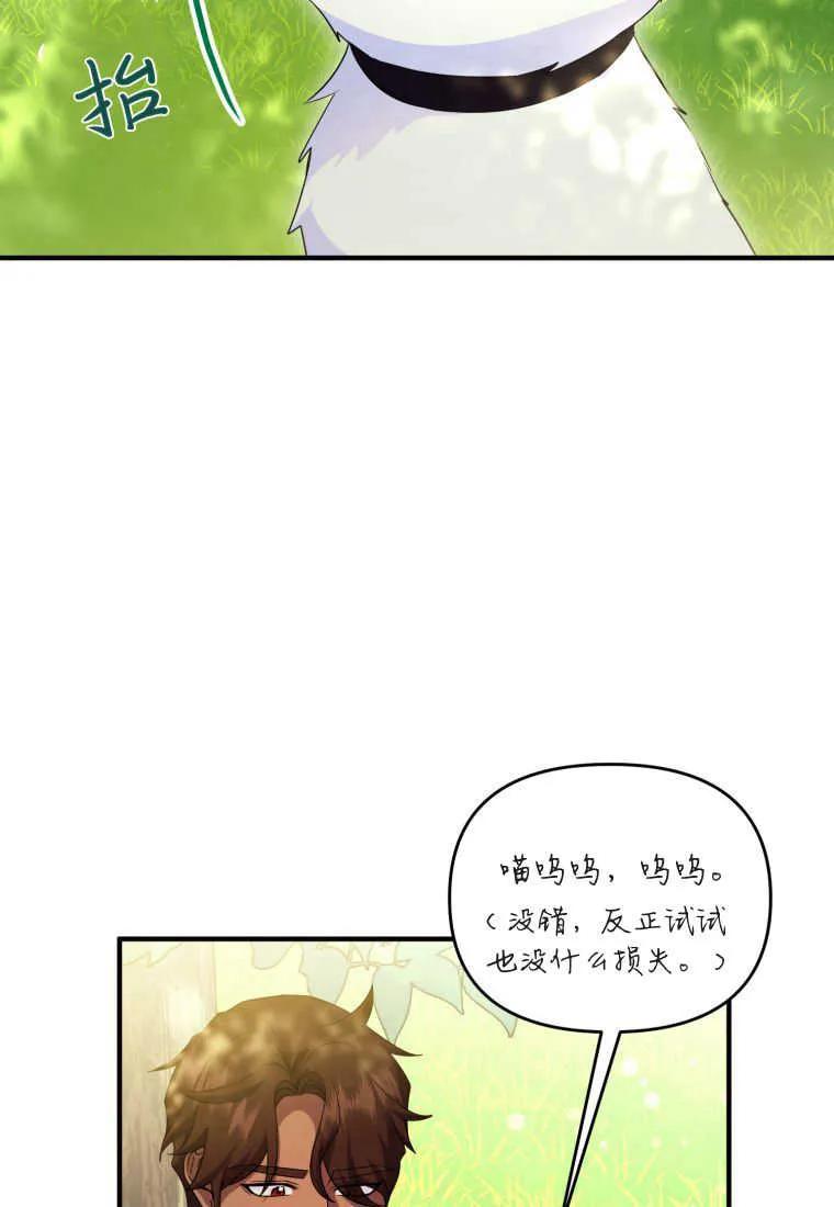 成为苏尔坦珍爱的猫咪 第30话 第93页
