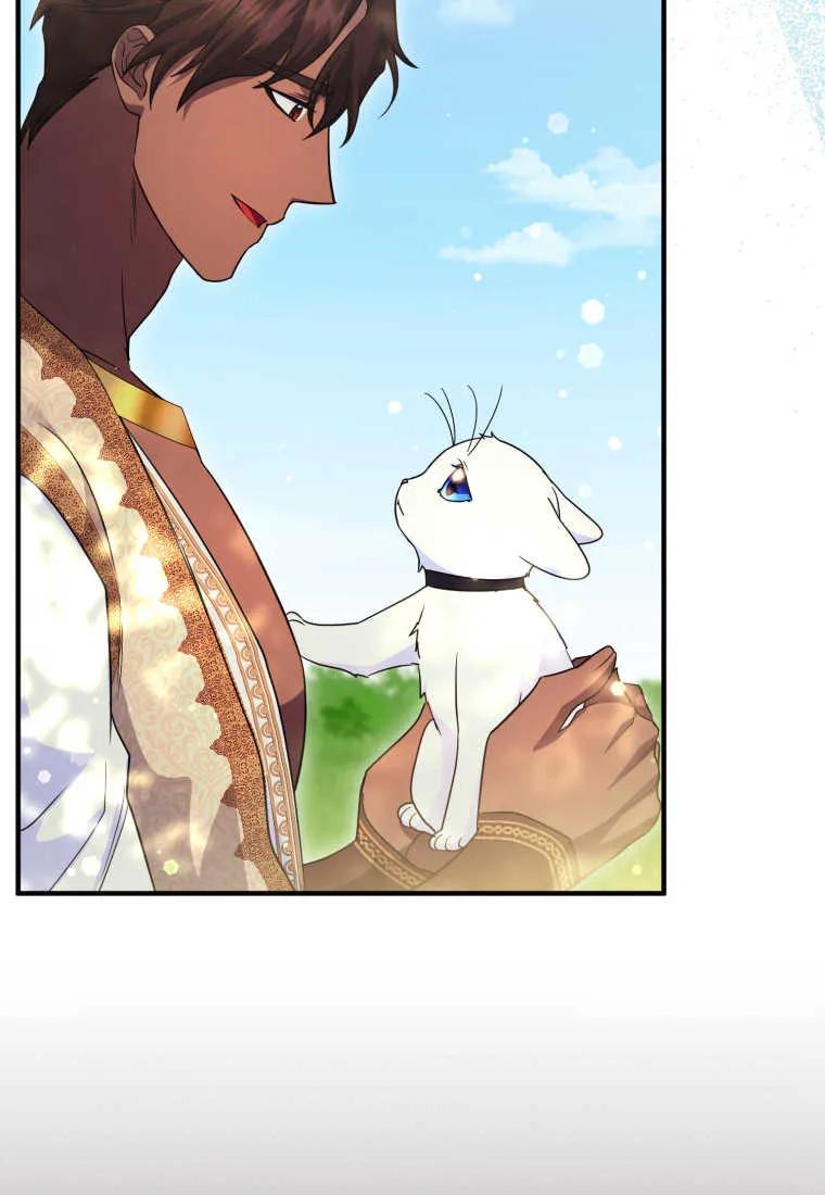 成为苏尔坦珍爱的猫咪 第30话 第81页