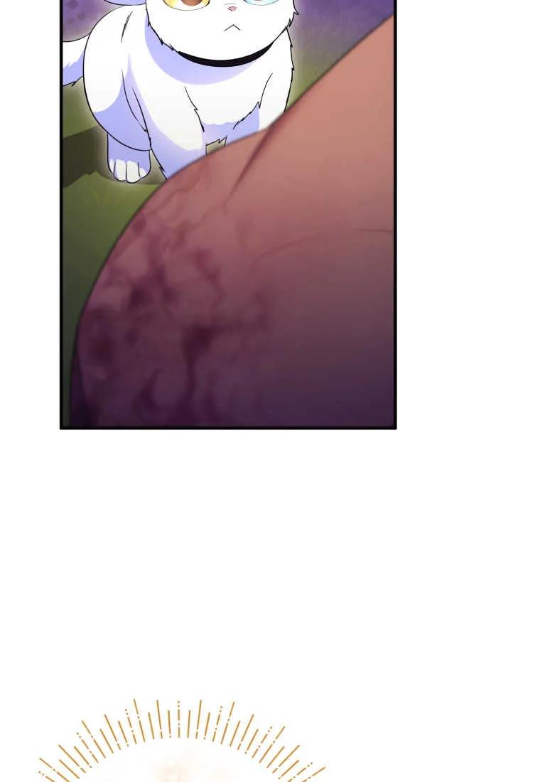 成为苏尔坦珍爱的猫咪 第30话 第65页