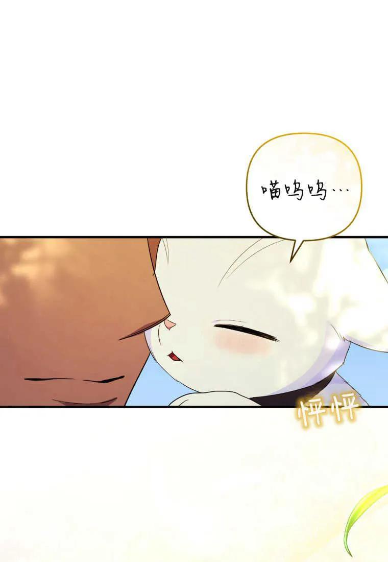 成为苏尔坦珍爱的猫咪 第30话 第114页