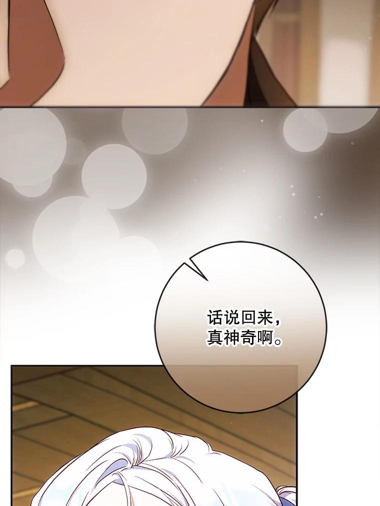 成为我笔下男主之妻 107.找到佣兵团 第136页