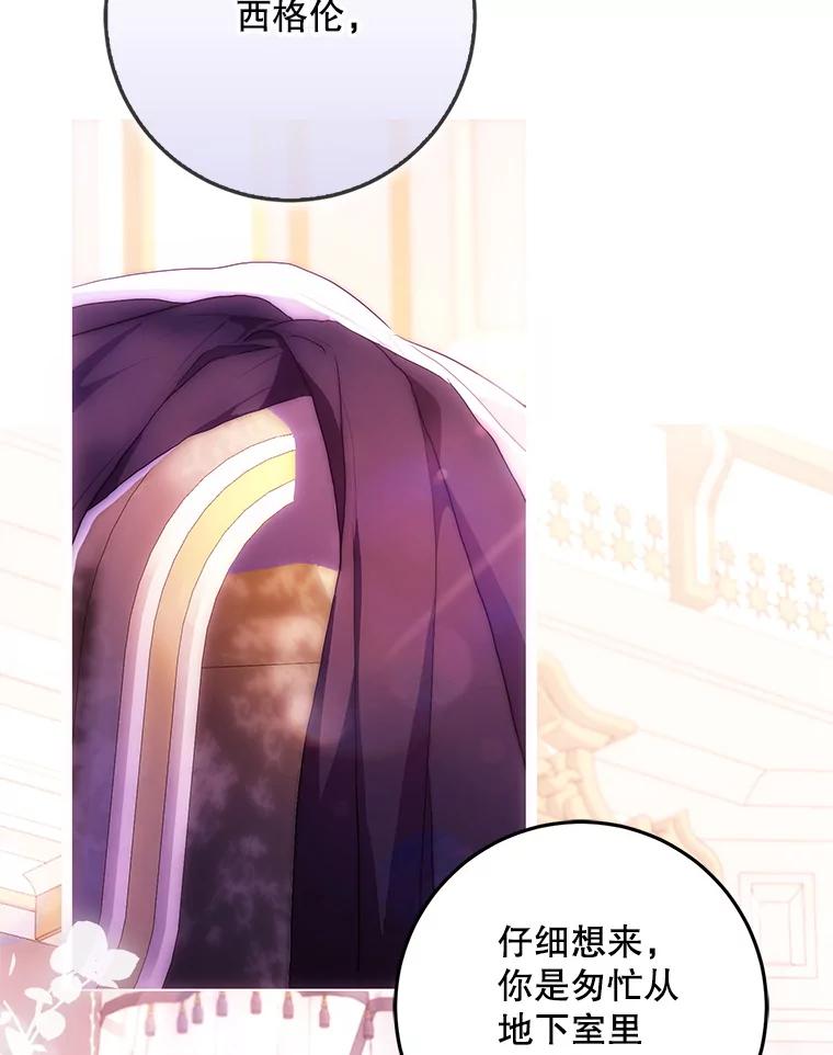 成为我笔下男主之妻 114.证人失踪 第3页