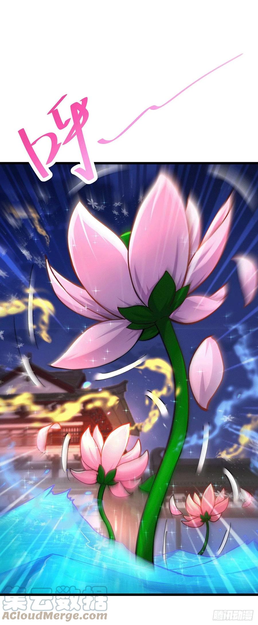 《总有道侣逼我双修》第196话 和老婆洞房~ 第35页