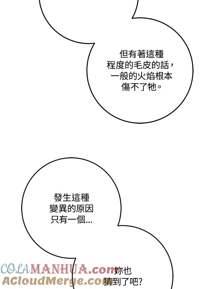 成为我笔下男主之妻 第39话 第81页