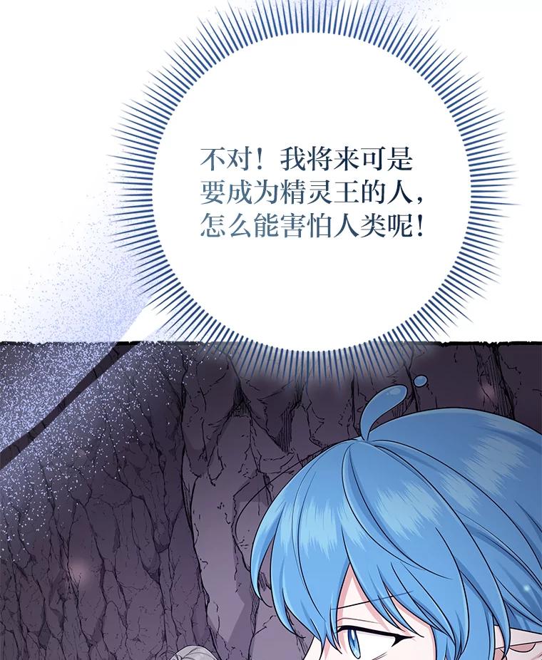 《完美演绎养女角色》57.与精灵缔约 第43页