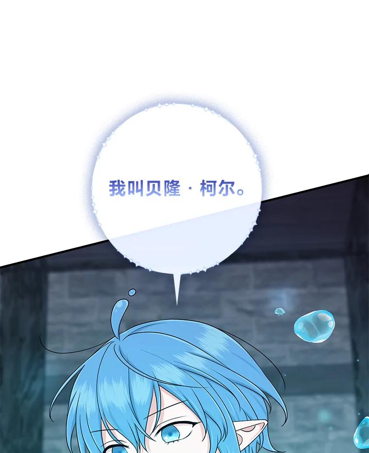 《完美演绎养女角色》57.与精灵缔约 第14页