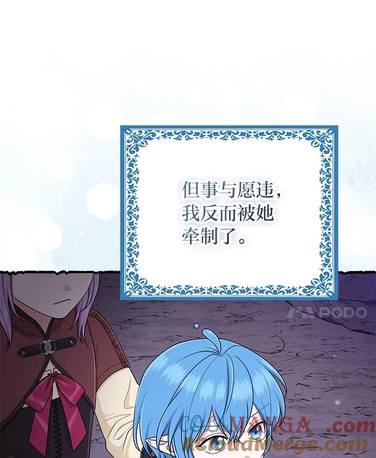 《完美演绎养女角色》57.与精灵缔约 第45页