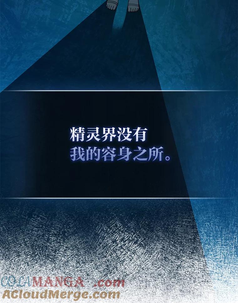 《完美演绎养女角色》57.与精灵缔约 第33页