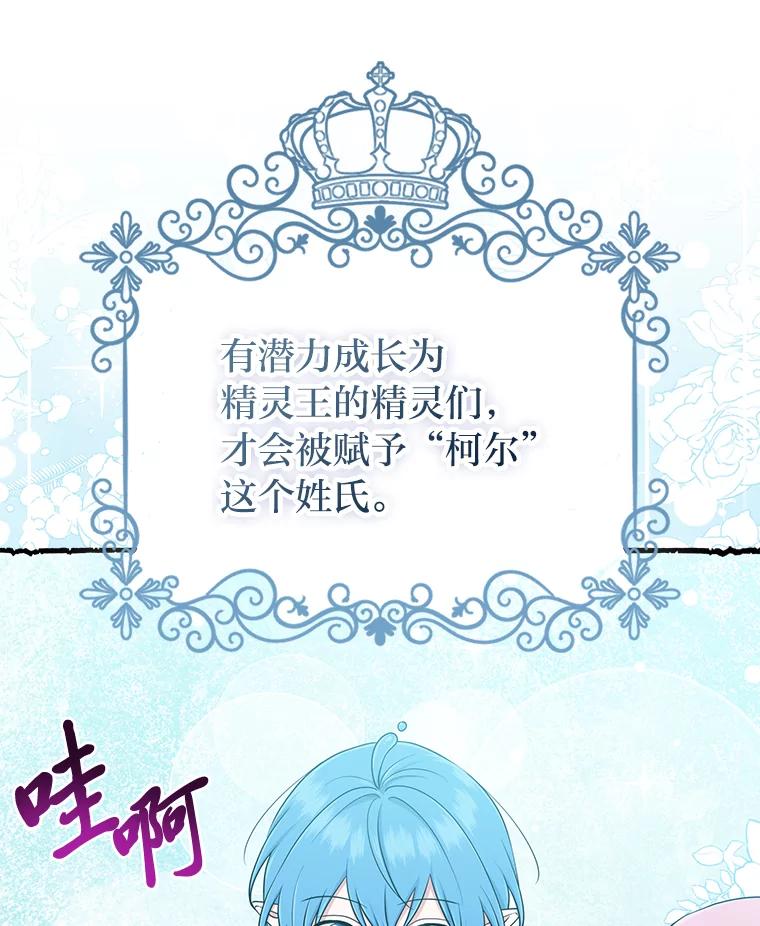 《完美演绎养女角色》57.与精灵缔约 第23页