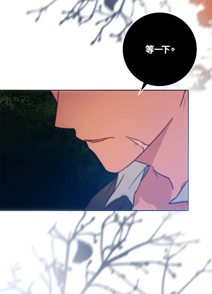 成为我笔下男主之妻 第63话 第91页