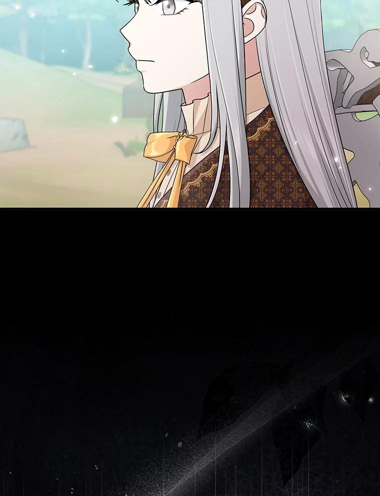 《完美演绎养女角色》69.薇欧拉的理由 第74页