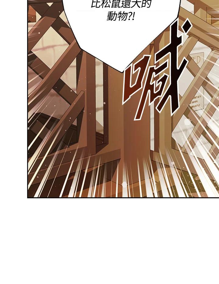 成为我笔下男主之妻 第75话 第12页