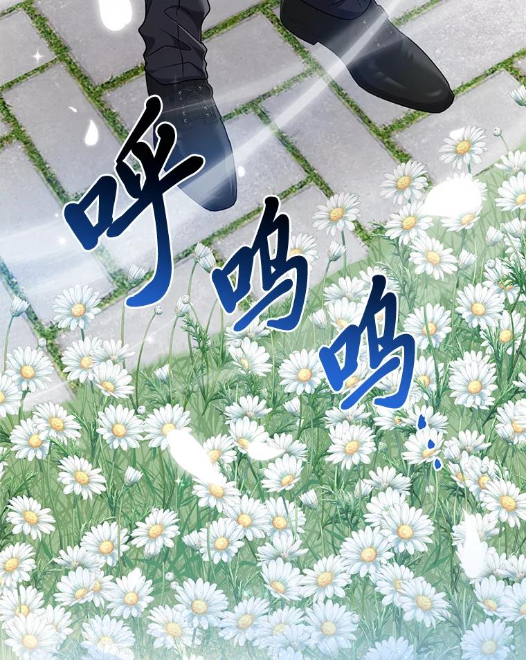 《完美演绎养女角色》75.在花田相遇 第114页