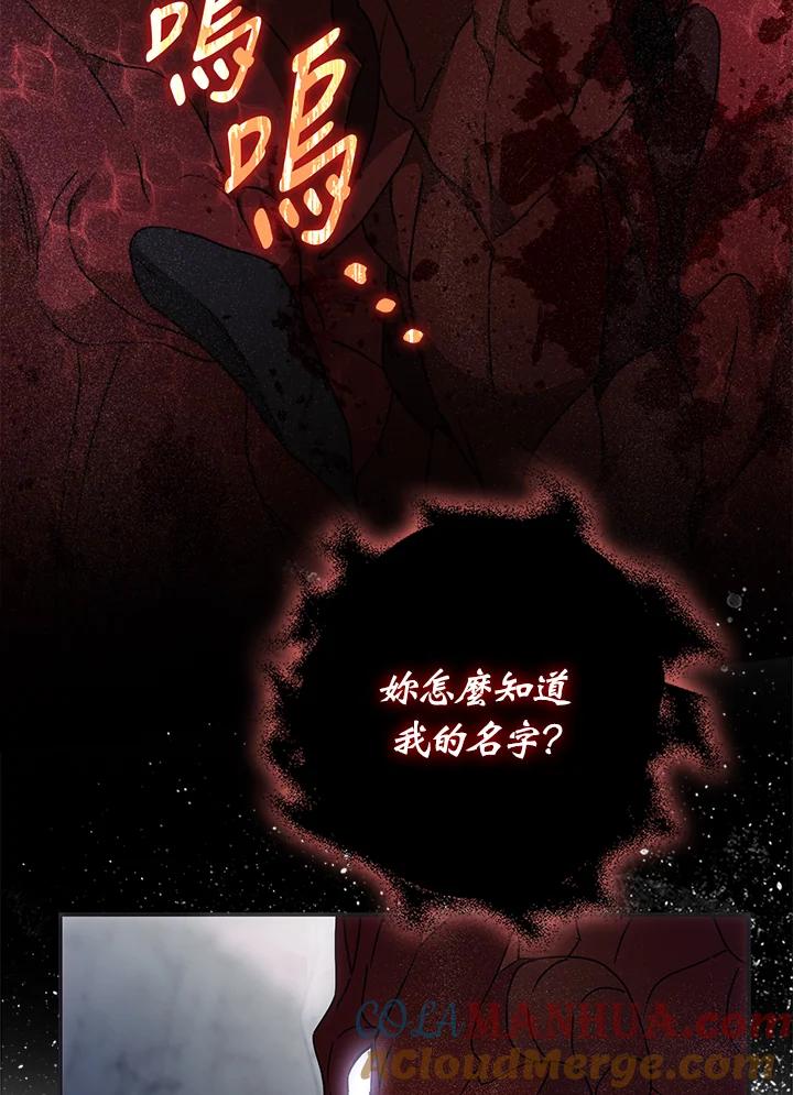 成为我笔下男主之妻 第77话 第69页