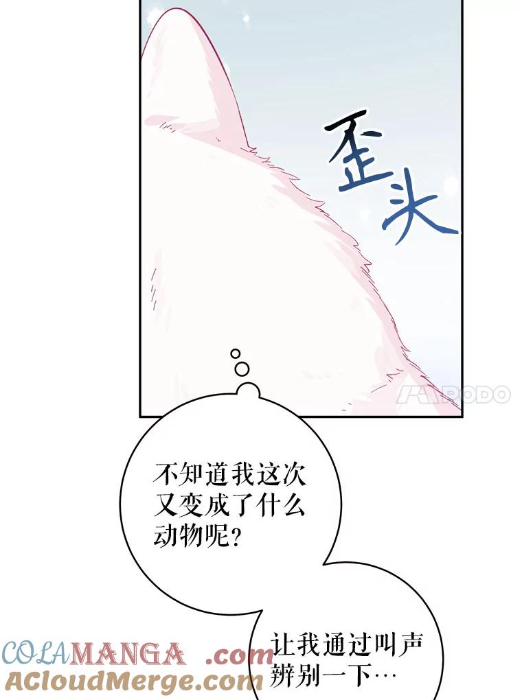 只需轻握我的手 15.雪白的狗 第21页