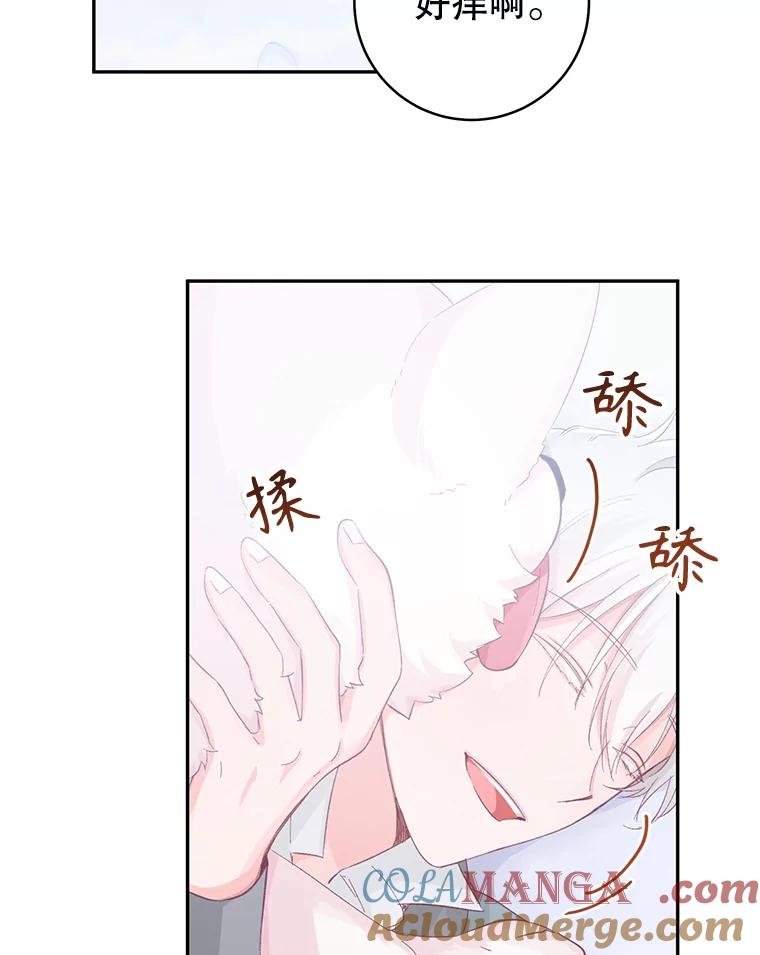 只需轻握我的手 15.雪白的狗 第37页