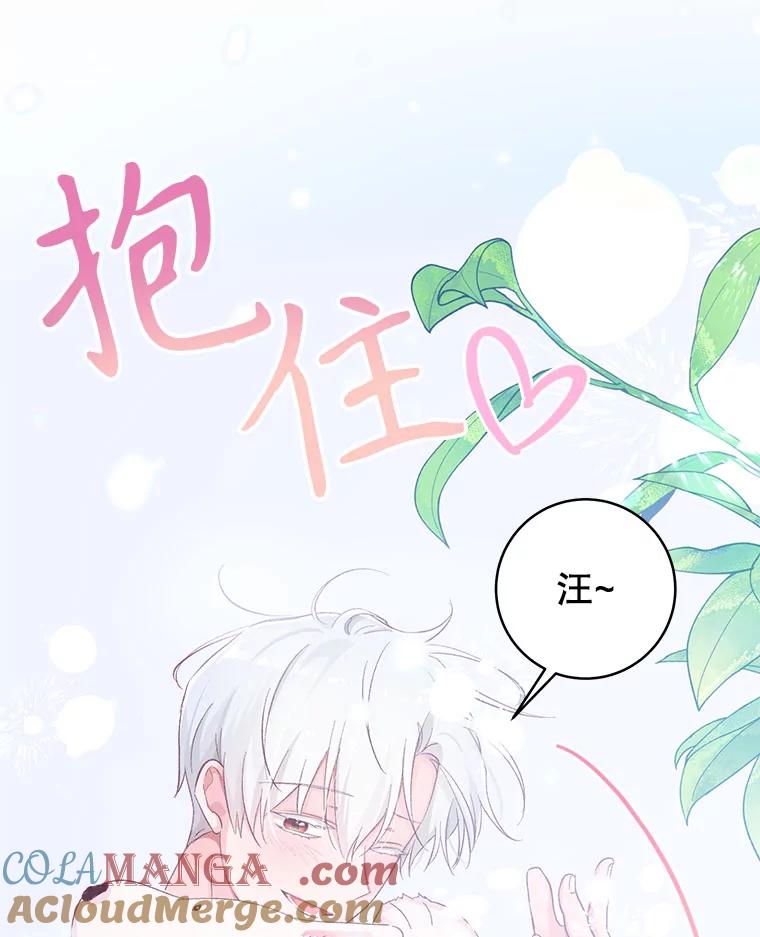 只需轻握我的手 15.雪白的狗 第33页